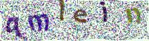 Image CAPTCHA