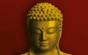 yoga and meditation Image